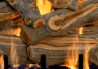 Arizona Juniper Vented Gas Log Set - Grand Canyon