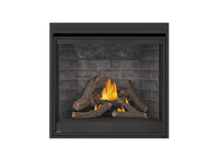 Napoleon Ascent Deep 42" Direct Vent Gas Fireplace - Model D42PTRE