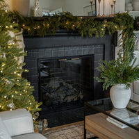 Ashford- Masonry & Prefab Fireplace Doors - ExceptionalFire