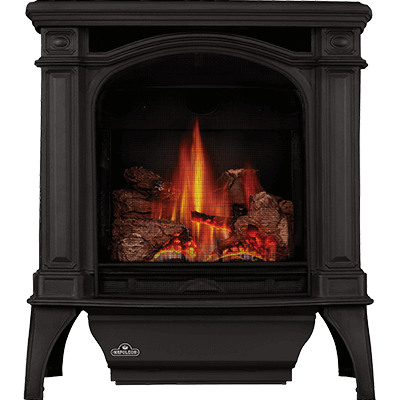 Napoleon Bayfield Direct Vent Cast Iron Gas Stove - Model GDS25-1