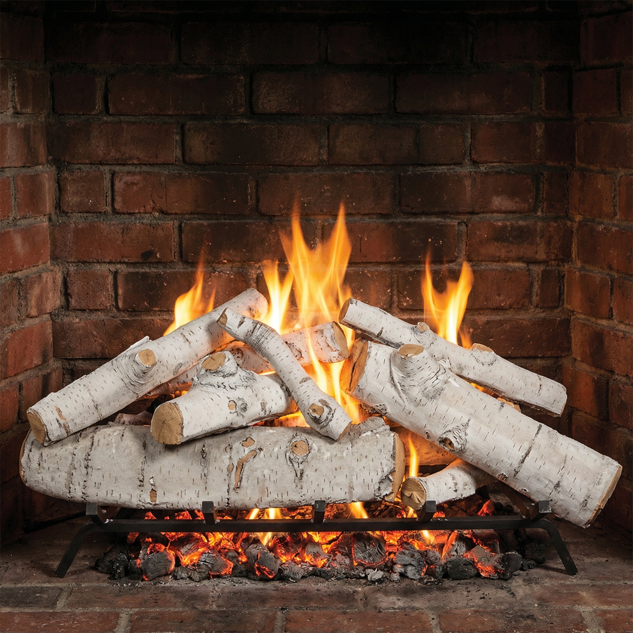 36" Sierra Birch Gas Log Set | Formation Creation