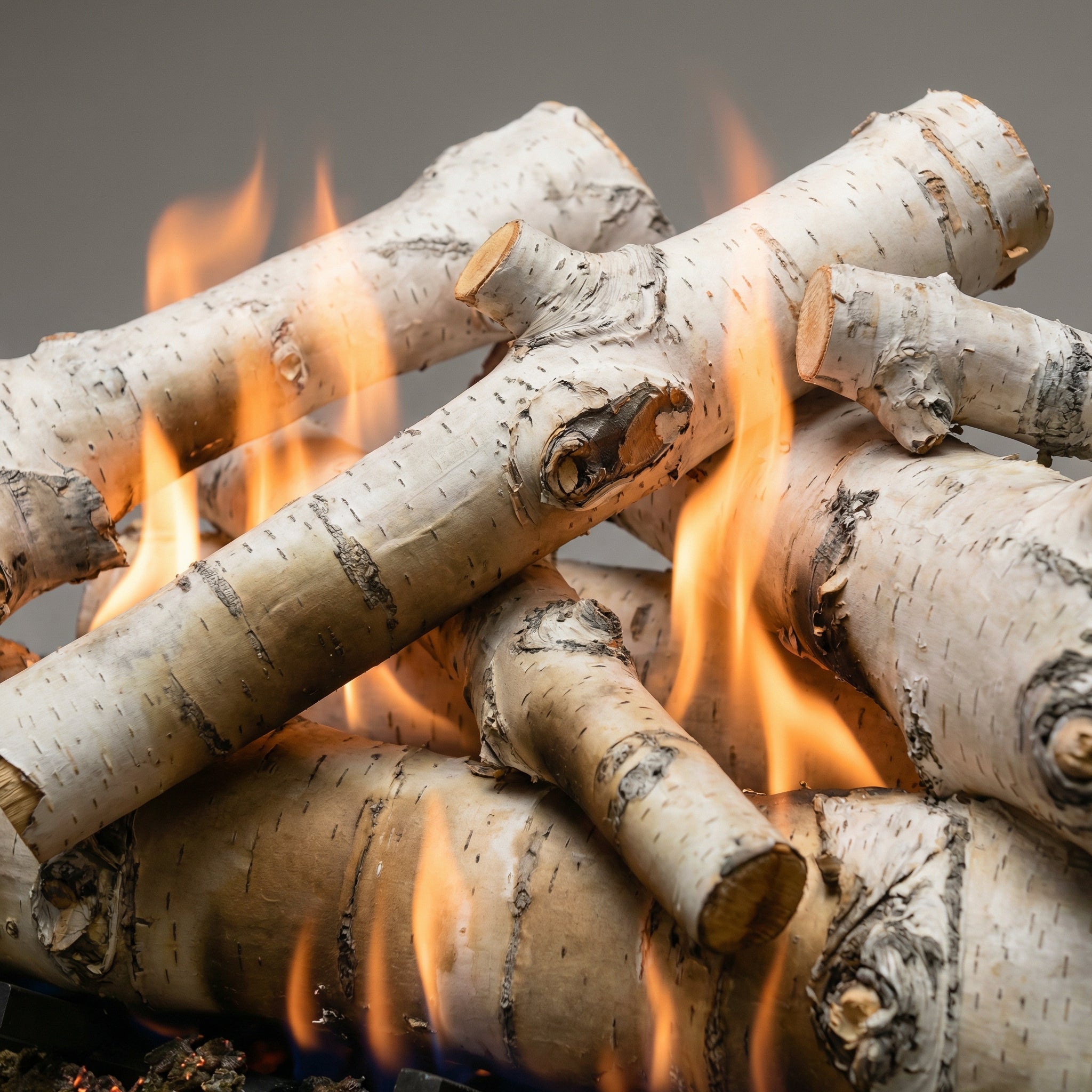 30" Sierra Birch Gas Log Set | Formation Creation