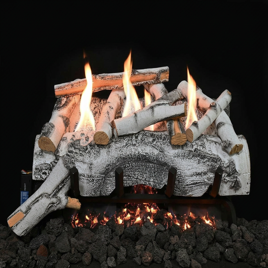 Aspen Birch Single-Sided Ventless Gas Log Set