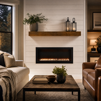 Empire Boulevard SL 30" Vent-Free Gas Fireplace — lifestyle