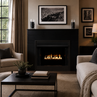 Empire Breckenridge Deluxe 42" Vent-Free Gas Firebox - Model VFD42FB — lifestyle