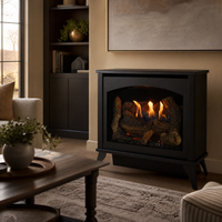 Empire Spirit 30" Direct Vent Steel Gas Stove - Model DVP30MS — lifestyle