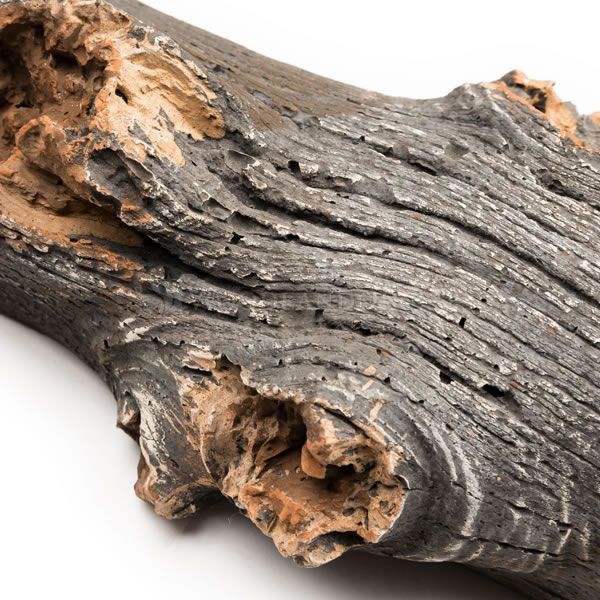 Grand Canyon Arizona Juniper See-Through Vented Gas Log Set