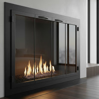 Carolina Traditional Steel Fireplace Glass Doors | Masonry & Prefab | Custom