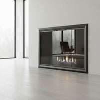 Apex - Masonry & Prefab Fireplace Glass Doors | Custom