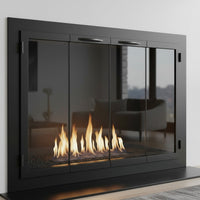 Carolina Traditional Steel Fireplace Glass Doors | Masonry & Prefab | Custom