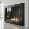 Carolina Traditional Steel Fireplace Glass Doors | Masonry & Prefab | Custom