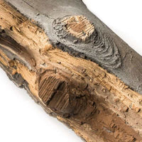 Grand Canyon Arizona Juniper See-Through Vented Gas Log Set - ExceptionalFire
