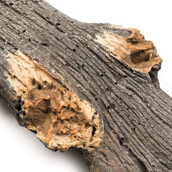Grand Canyon Arizona Juniper See-Through Vented Gas Log Set