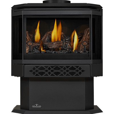 Napoleon Haliburton Electronic Ignition Direct Vent Gas Stove - Model GDS28-1NE