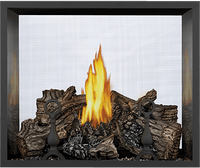 Napoleon High Definition see-through gas fireplace — official product photo