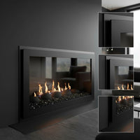 Original Moderne - Single Panel Masonry & Prefab Fireplace Glass Doors | Custom