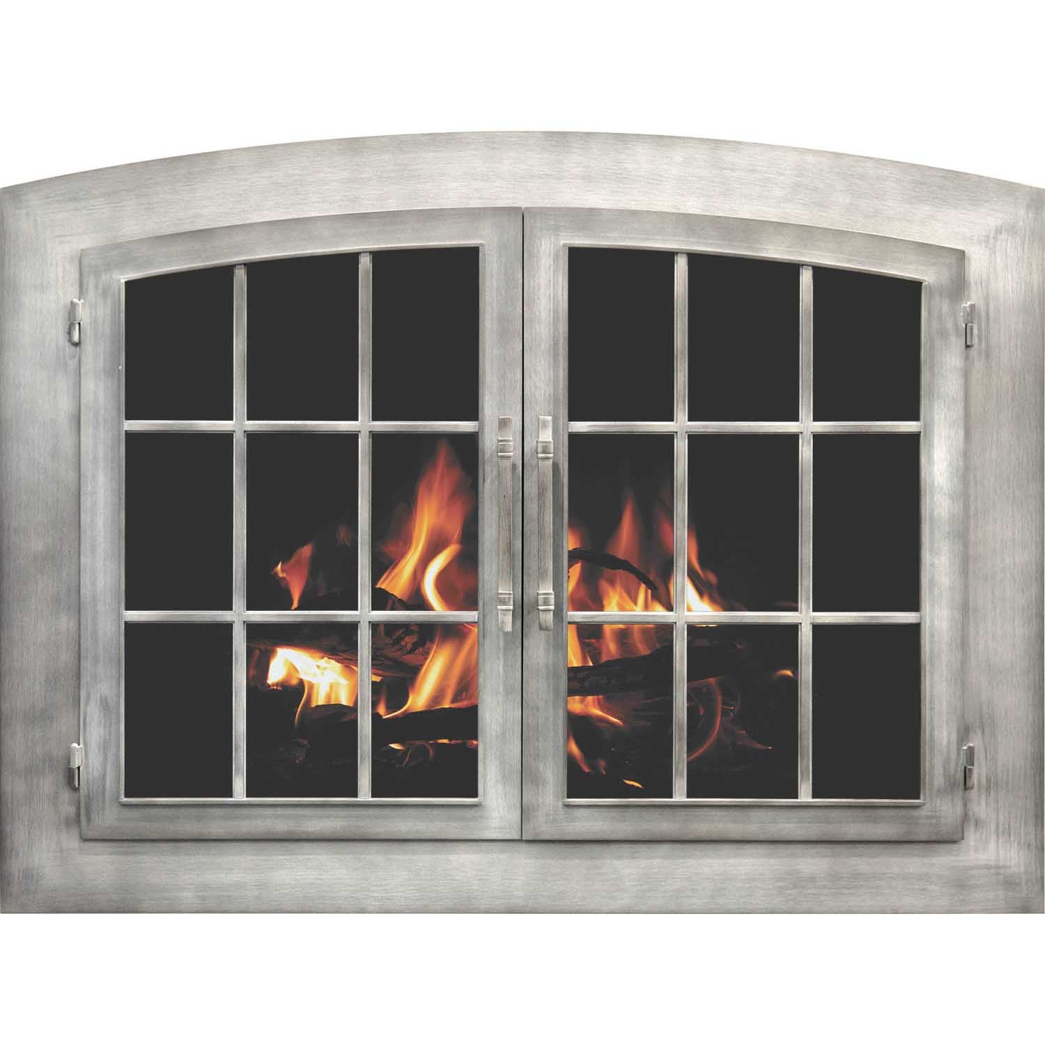 Industrial - Arch Masonry Steel Fireplace Glass Doors