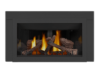 Napoleon Inspiration ZC Direct Vent Gas Fireplace Insert - Model GDIZC-NSB