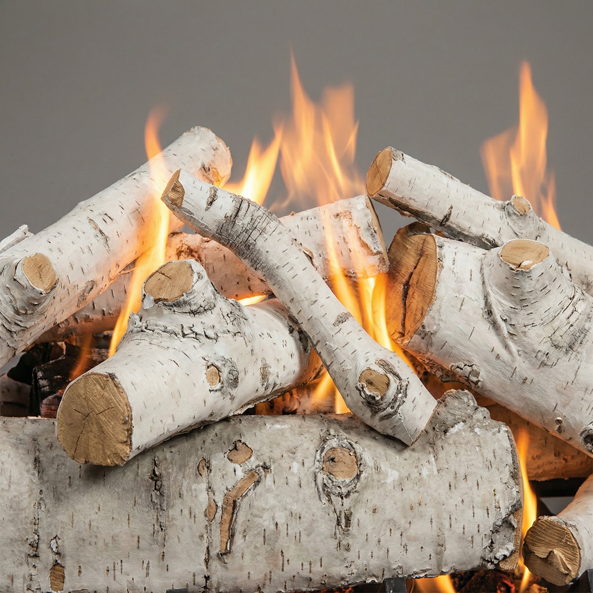 36" Sierra Birch Gas Log Set | Formation Creation
