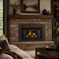 Majestic Trilliant 25" Direct Vent Gas Fireplace Insert — lifestyle