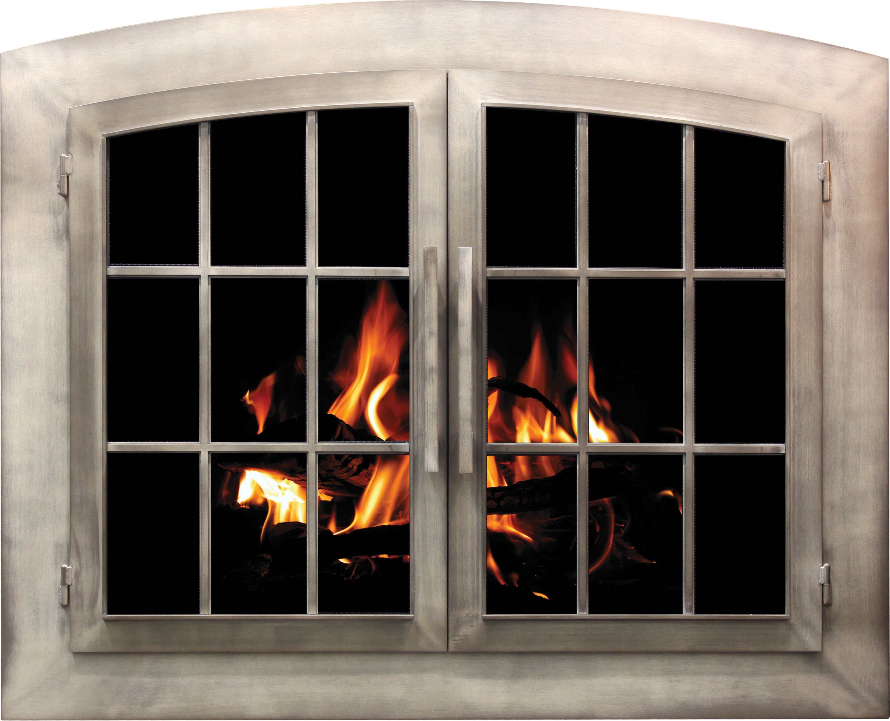 Metro - Masonry and Prefab Fireplace Glass Doors - ExceptionalFire