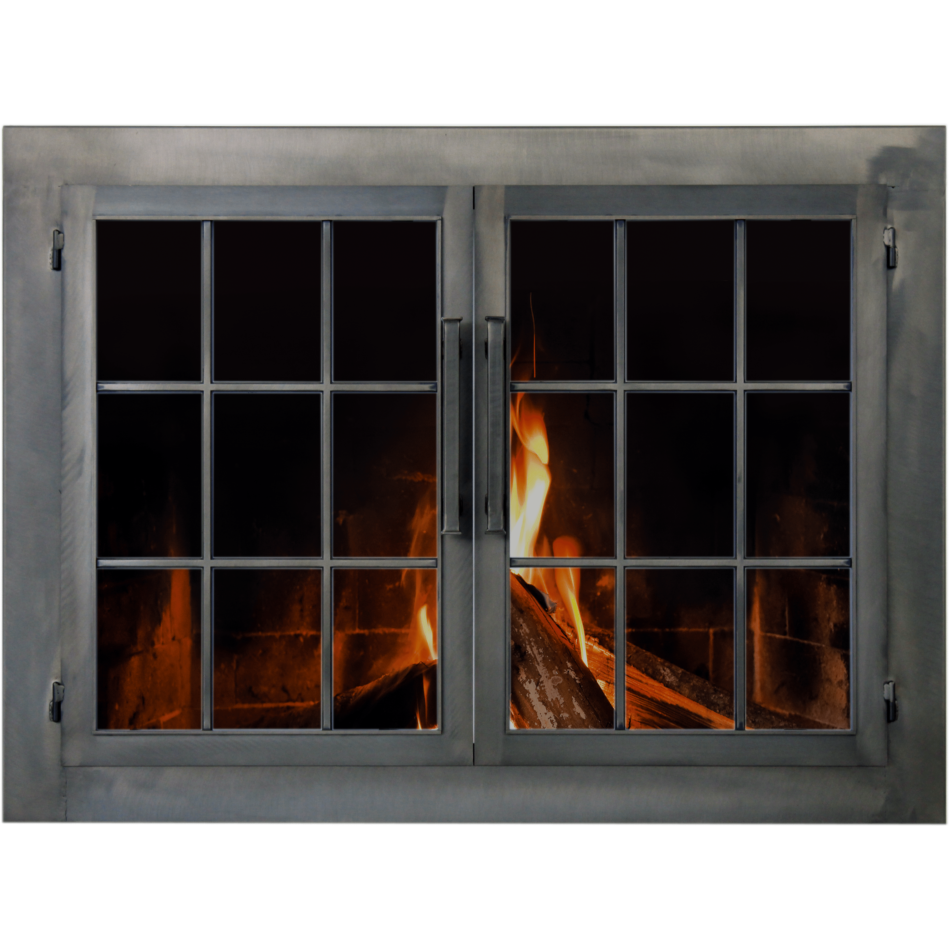 Metro - Masonry and Prefab Fireplace Glass Doors