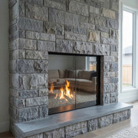 Odyssey - Masonry & Prefab Solar Reflective Fireplace Glass Doors | Custom