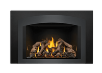 Napoleon Oakville X4 gas fireplace insert — official product photo