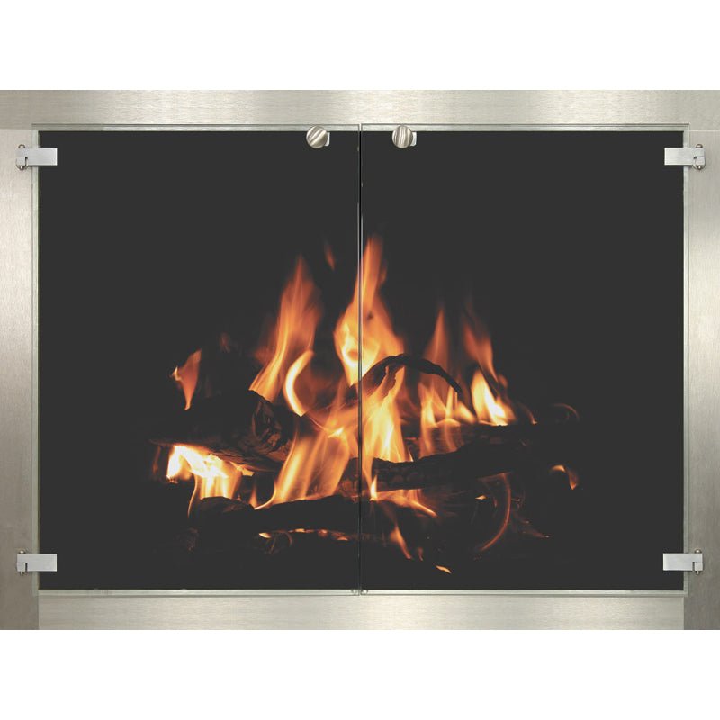 OpenView - Masonry & Prefab Fireplace Doors