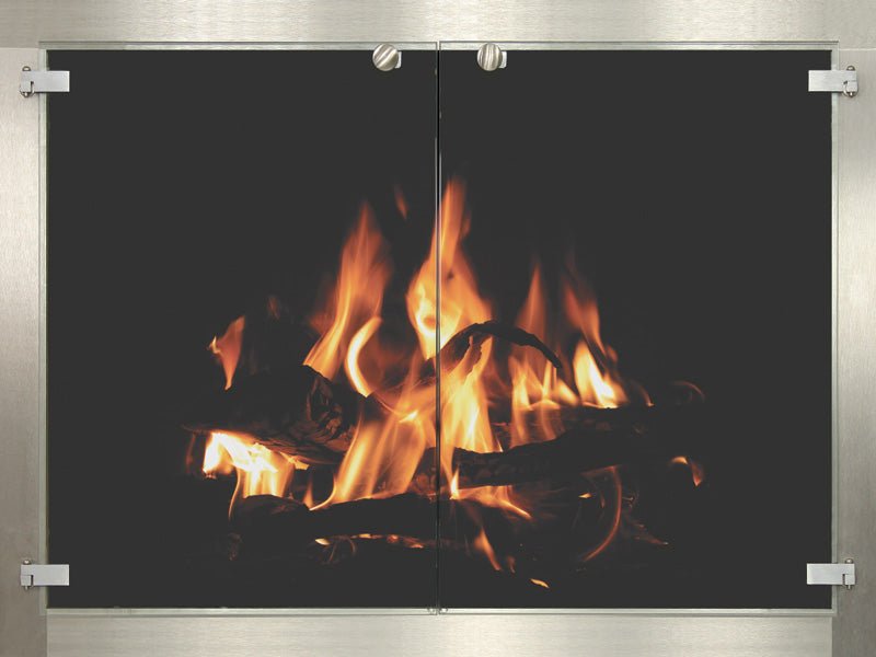 OpenView - Masonry & Prefab Fireplace Doors