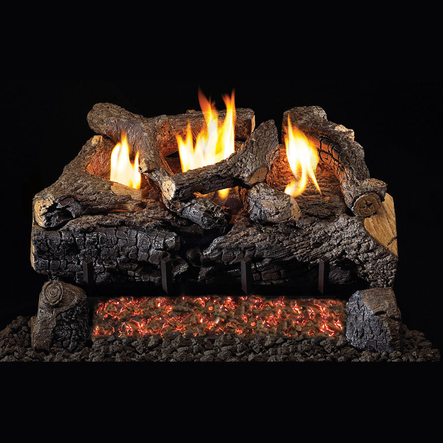 18" Evening Fyre Char See-Through Ventless Gas Log Set-16