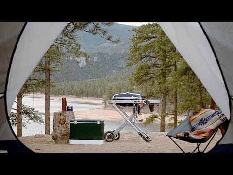 Weber Traveler® Portable Gas Grill