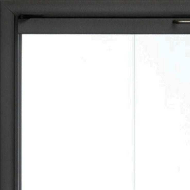 Rainbow Fireplace Glass Doors with aluminum frame and tempered safety glass installed in modern living room fireplace