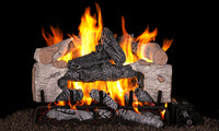 Real Fyre 24" Charred Cinder Birch Vented Gas Log Set — original product reference. Arrangement and burner hardware vary by selected size and configuration.