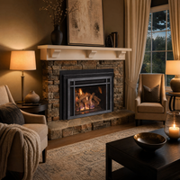 Real Fyre iSeries 30" Direct Vent Gas Fireplace Insert - Model DVI-30i — lifestyle