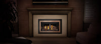 Napoleon Inspiration ZC Direct Vent Gas Fireplace Insert - Model GDIZC-NSB