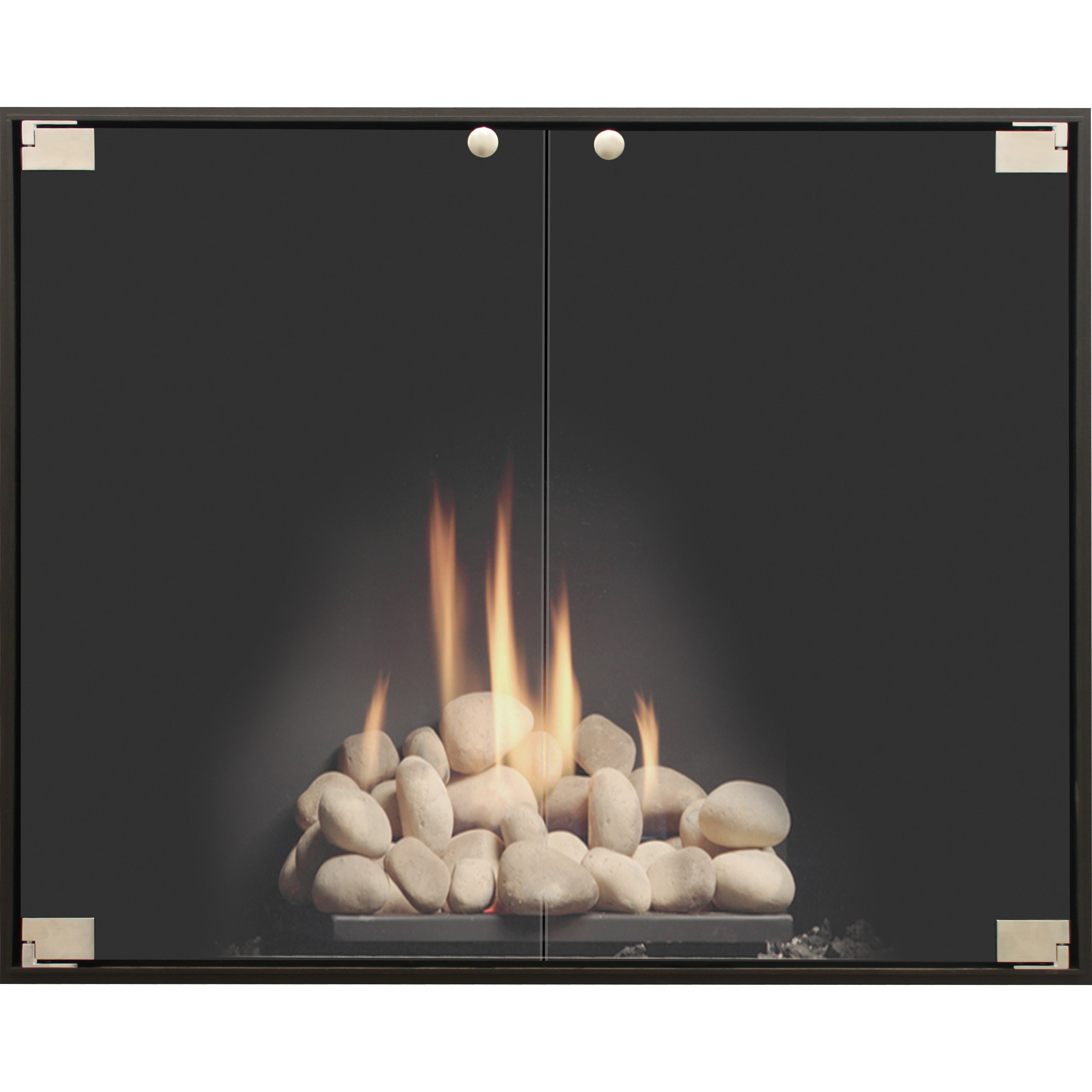 SlimLinePro - Masonry & Prefab Steel Fireplace Glass Doors