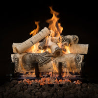 24" Quaking Aspen Vented Gas Log Set | Grand Canyon
