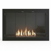 Carolina Traditional Steel Fireplace Glass Doors | Masonry & Prefab | Custom