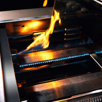 TrueFlame 25 Inch Built-In Grill - ExceptionalFire