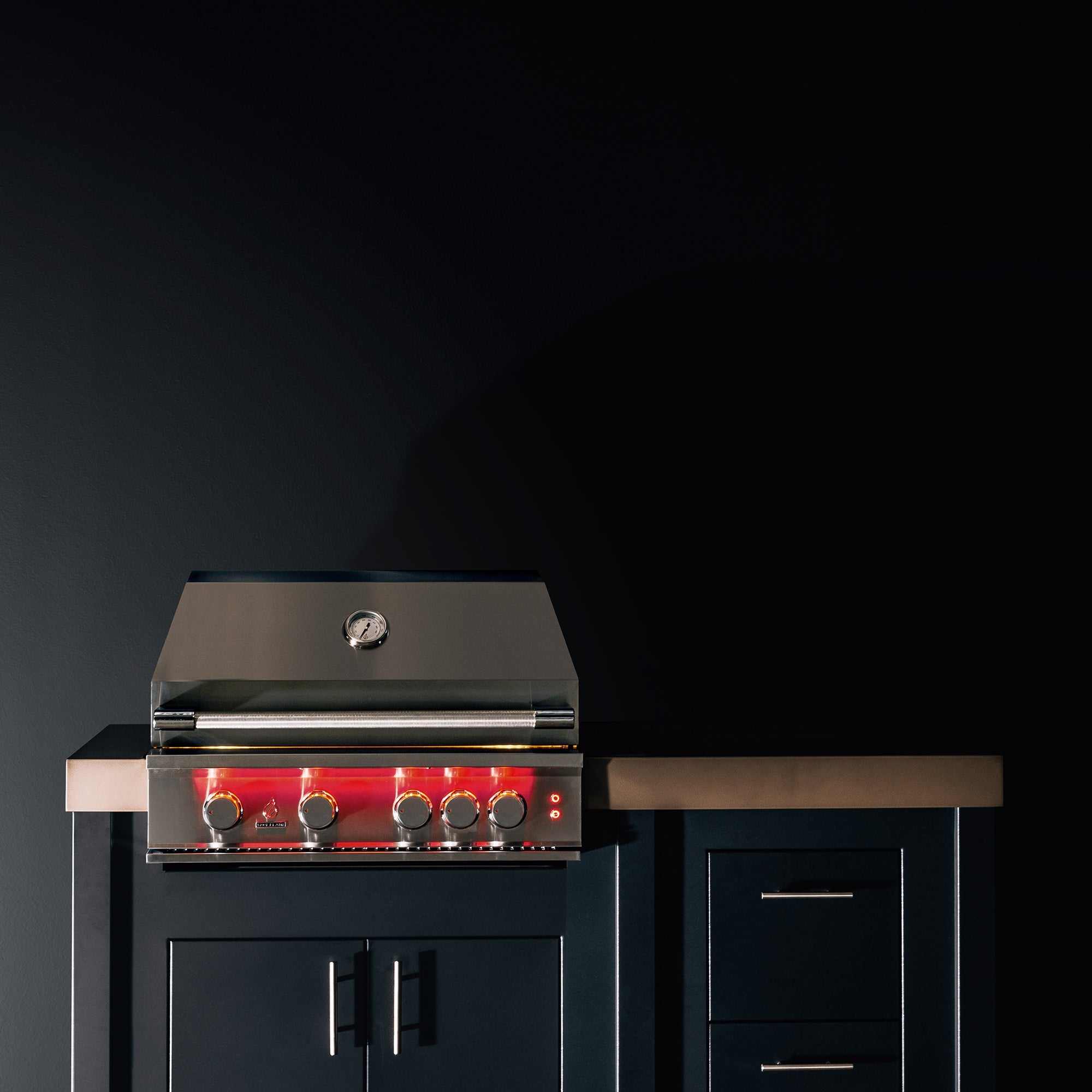 TrueFlame 25 Inch Built-In Grill - ExceptionalFire