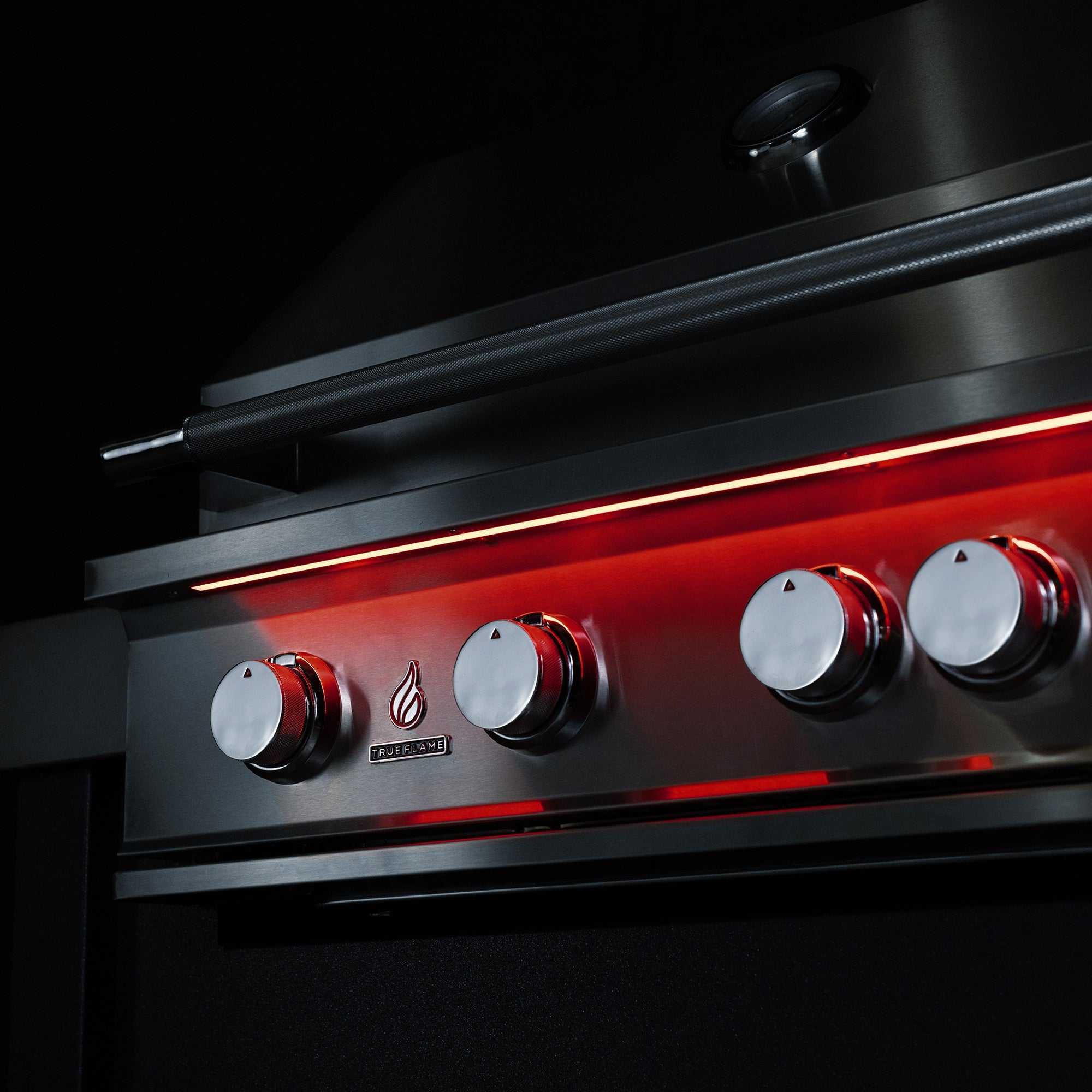 TrueFlame 25 Inch Built-In Grill - ExceptionalFire