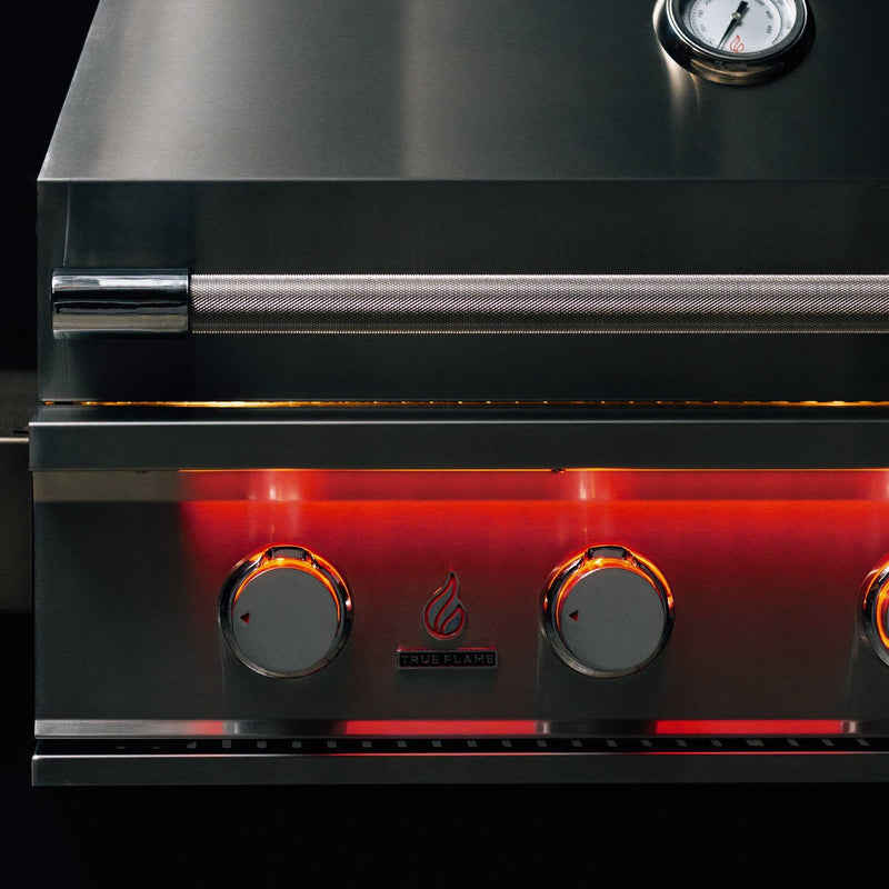 TrueFlame 25 Inch Built-In Grill - ExceptionalFire