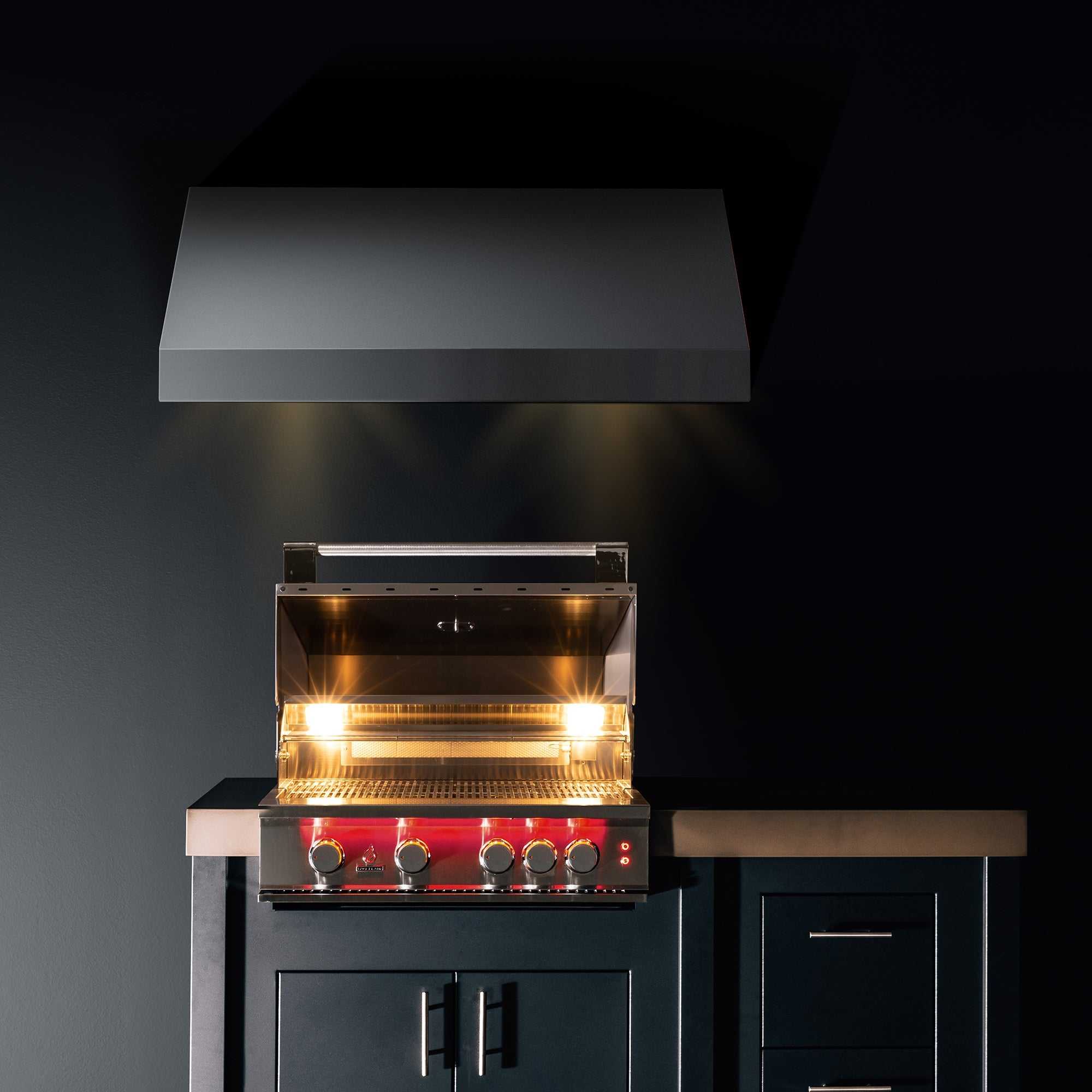 TrueFlame 25 Inch Built-In Grill - ExceptionalFire