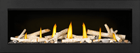 Napoleon Vector 50 linear gas fireplace — official product photo