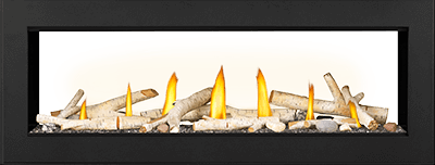 Napoleon Vector 50 See Through linear gas fireplace — official product photo