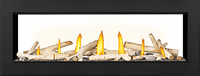 Napoleon Vector 50 See Through linear gas fireplace — official product photo