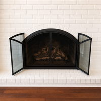 Bar Iron - Arch Masonry Steel Fireplace Glass Doors | Custom