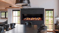 Heat & Glo Primo II 48 Direct Vent Linear Gas Fireplace | Model PRIMO-II-48