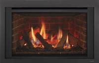 Majestic Ruby 25 gas insert product shot with Clean Screen front